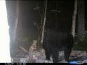 Bear Hunt 9.12-13.07 009