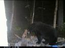 Bear Hunt 9.12-13.07 011