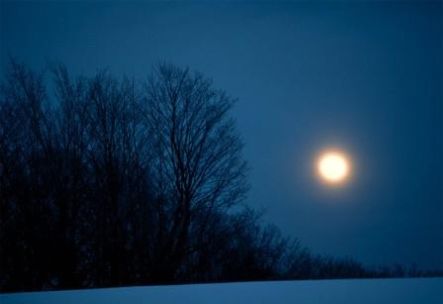 Winter Moon