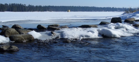 Itasca State Park 2.23.08.008 - Mississippi Headwaters III