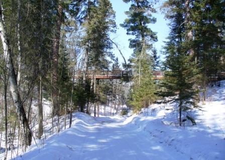 Itasca State Park 2.23.08.014 - Foot Bridge