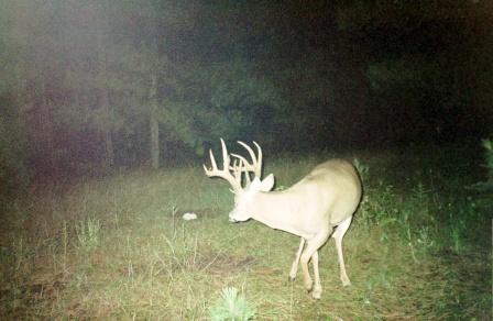 LPR Buck III