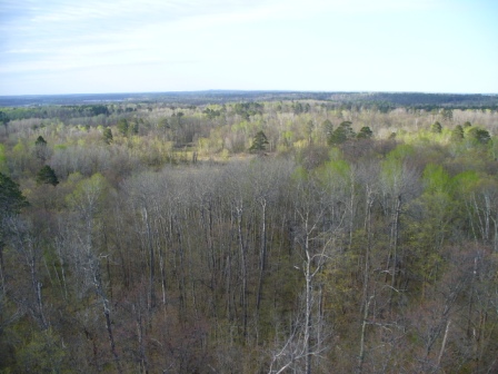 North from Aiton Heights Fire Tower