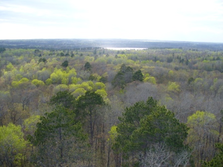 West from Aiton Heights Fire Tower